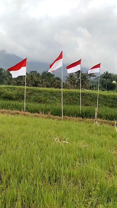 Bendera Indonesia Bendera Merah putih Bendera Upacara 17 Agustus