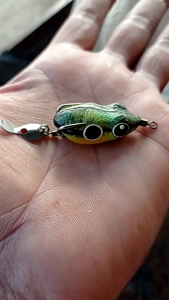 SF Dindang Tengil 2: Kualitas Tinggi & Desain Unik