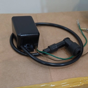 อะไหล่แท้ คอล์ยไฟจุดสตาร์ท เครื่องBestfoggerรุ่นBF150และBf200