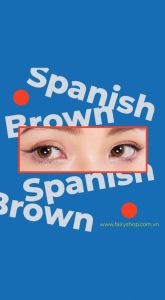 Áp tròng Spanish Brown 14.0mm - Kính Áp Tròng FAIRY SHOP CONTACT LENS độ cận 0 đến 8