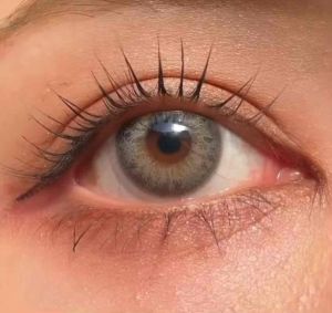 Kính Áp Tròng DNA TAYLOR GREEN GRAY light 14.0mm - Kính Áp Tròng FAIRY SHOP CONTACT LENS Độ 0 đến 6