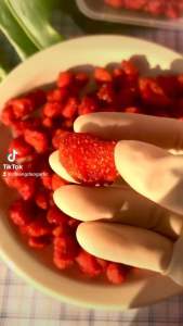 สตรอเบอร์รี่อบแห้ง 350 กรัม