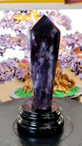 Natural Brazil Top Grade Amethyst Scepter Point Ornament ATP01