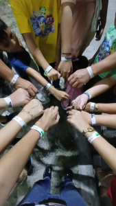 A3Bda | WRIST STICKERS | Customized Waterproof Any Event Wrist Stickers