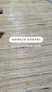 Baju Seragam Korpri Terbaru 2025 Kerah Hitam Lapis dalam Furing Baju korpri Pri Terbaru Baju Korpri Wanita Terbaru