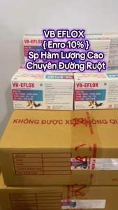 Eflox lọ 10ml tiêu chảy chướng diều khô chân xù lông phân xanh trắng ecoli trên gà đá vịt gia cầm