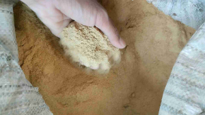 dedak bekatul makanan ayam itik entog dll