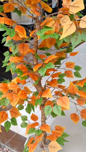 Pohon Artificial Beringin Varigata Tanaman Hias Untuk Dekorasi Ruangan Tinggi 2 Meter