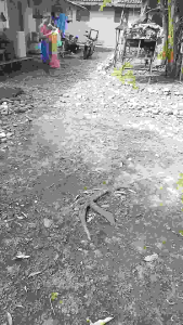 jala ikan warna ukuran lobang 1.inchi senar 0.28 panjang 3.meter