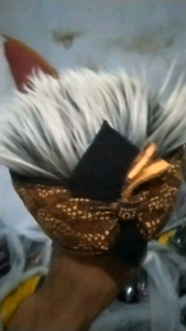 Udeng Blangkon Jawa & Baju Tradisional Korea