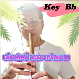 ขลุ่ยเสียงสากล ขลุ่ยคีย์ Bb รุ่น เสียงทิพย์ สีน้ำตาล แถมฟรีถุงใส่ขลุ่ย มูลค่า 50.-ลมเบาเป่าสบาย