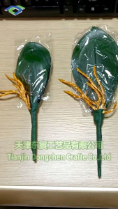 Daun anggrek latex / Daun Anggrek Artificial