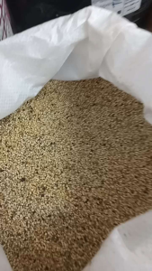 Kambu Campur untuk Burung & Ayam 1kg 100% Asli