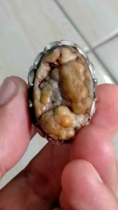 CINCIN BATU AKIK BADAR PERAK ANTIK SAKRAL NATURAL ALAMI