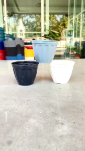 เซตสุดคุ้ม‼️กระถางรุ่นโรมันจิ๋ว7cm(perfectworlds)