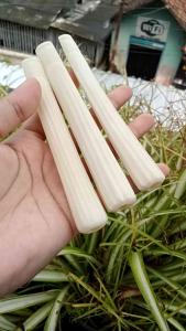 once pipa sedotan tulang sapi model belimbing bulat A32