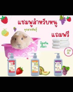 แชมพูแก็สบี้ ห้อแพรี่บัน แถมฟรี ผ้าซับตัว ที่สุดผ้า อาหาร ผ้าผ่านที่นี่