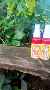 หัวเชื้อดักหนูน้ำหอมดักหนูขนาด50mlขนาด80ml