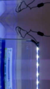 [Ready Stock] Huayao 27cm LED Aquarium Lamp – Energy Saving Ultra Slim Light for Fish Tank / Aquatic Plants