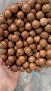 Hạt macca nứt vỏ sấy  size đại 28-32 loại 1 hũ 500g thơm ngon có đồ tách vỏ kèm