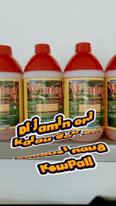 Herbisida Wintag 490 SL 1 Liter: Solusi Ampuh Membasmi Rumput