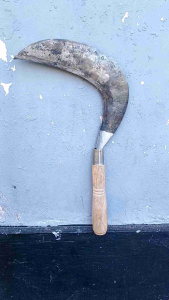 Arit Sabit Lewung Bintang & Pengaritan Rumput Baja Isen Super Wonosobo