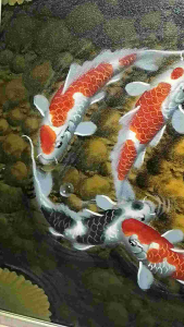 Lukisan Ikan Koi Asli Cantik dan Artistik