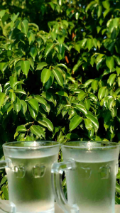 Gelas Kopi Tahan Air Panas 2Pcs & Gelas Bening Berkualitas