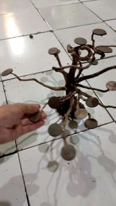 Pohon Hiasan Aquarium: Memahami Pohon Aquascape & Pohon Hiasan Air Tawar