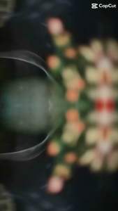 Nụ Trầm Nụ Quế Nụ Bách Thảo Vòng Trầm xông nhà đuổi muỗi thiền định...