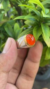 CINCIN BATU AKIK CEMPAKA SUPER MINIMALIS