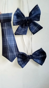 Ties and Neckties/ 2 pcs/ same in Valenzuela color/ garterized tali/ reusable to the other school blouse uniform/ Available in 3 variants of sizes 7-9 -12 inches long SEND YOUR ACTUAL COLOR FOR CLARIFICATION/ school blouse uniform accessories