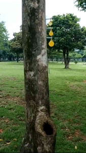 Cscc 3pcs Yelow Metal Spinner Target Plinking Target Shooting Target Practice Outdoor