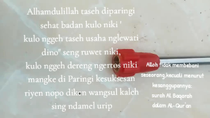 STIK 2 METER SPRAYER SWAN