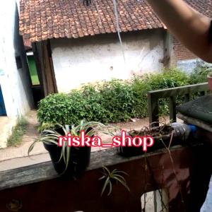 pupuk penyubur pupuk booster tanaman super terlaris gainen 20s