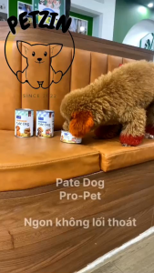 pate lớn 190g - Pro Pet thức ăn vặt thức ăn ướt cho thú cưng chó