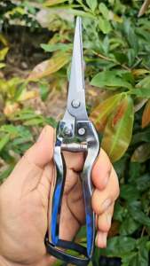 Kéo Tỉa Cành Giâm - Thép Trắng Siêu bén không rỉ - Sản phẩm của Nhật Bản