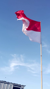 bendera ukuran jumbo 1pcs