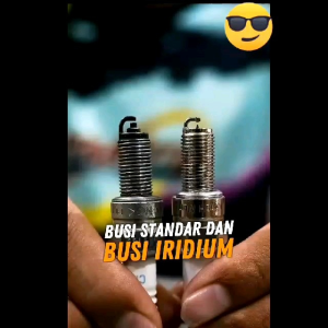 Busi Racing GL Tiger Megapro Scorpio Thunder 250 Daytona Double Iridium D8EA