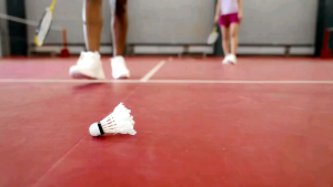 Sports Headband Set & Wristband Bracers: A Comprehensive Guide