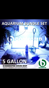 AQUARIUM BUNDLE SET 5 GALLON FISH GLASS TANK COMPLETE SET W/ FREEBIES - AQUARIUM ACCESSORIES - B-CONNECTED