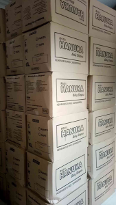 Popok Bayi Model Celana Merek HANUKA isi 25pcs