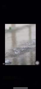 鞋除臭烘鞋器杀菌神器家用全自动烤鞋烘干机暖鞋机洗鞋干鞋