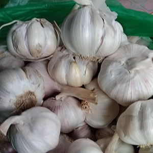 Bawang Putih 500gr
