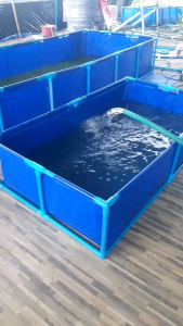 กระชังบ่อผ้าใบ PE 200 Super หนา 0.35 mm ขนาด 1 \* 1 ลึก 50 ซม