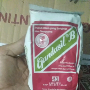 Pupuk Gandasil B pembuahan 500gr Masa Tanam Generatif Pelebat Buah Berbobot