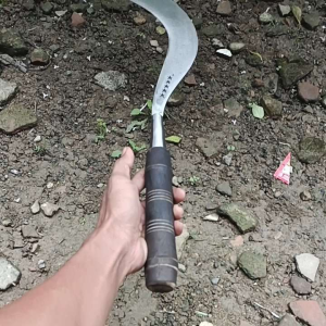 Arit/Sabit rumput asli baja super tajam siap pakai