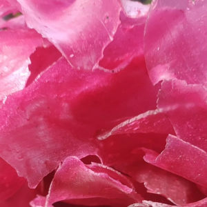 kerupuk merah padang 500gr