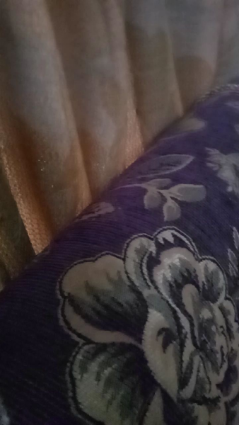 Buyer review video 3