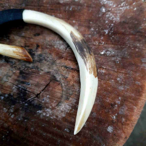 Calling Babi / Kalung Taring Kombinasi Gigi Kalung Etnik